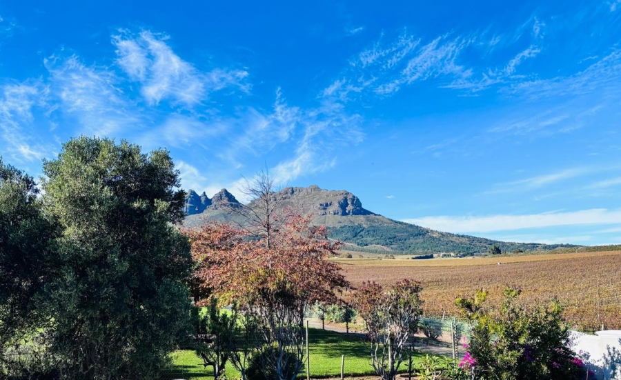 Commercial Property for Sale in Stellenbosch Farms Western Cape